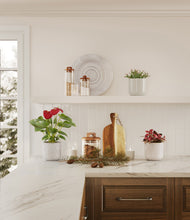 Load image into Gallery viewer, Winter Glow
