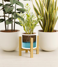 Load image into Gallery viewer, Misty Morning stand:light
