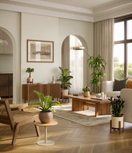 Load image into Gallery viewer, Sandy stand:three_stands
