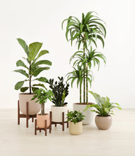 Load image into Gallery viewer, Sandy stand:three_stands
