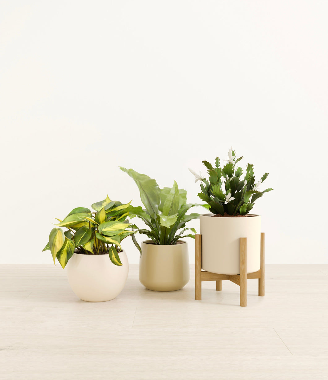 Sandy stand:one_stand