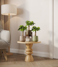 Load image into Gallery viewer, Earthy stand:one_stand
