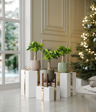 Load image into Gallery viewer, Earthy stand:one_stand
