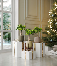 Load image into Gallery viewer, Woodland stand:one_stand
