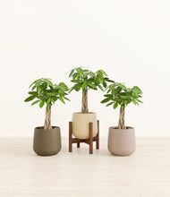 Load image into Gallery viewer, Woodland stand:one_stand
