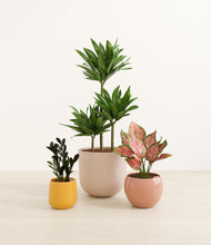 Load image into Gallery viewer, Evening Sky*****Profile
