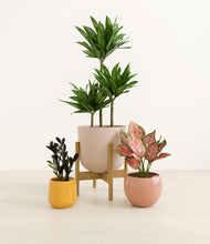 Load image into Gallery viewer, Evening Sky stand:one_stand
