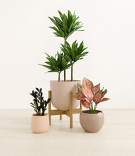 Load image into Gallery viewer, Sandy stand:one_stand
