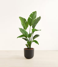 Load image into Gallery viewer, Stone Black*****Profile
