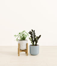 Load image into Gallery viewer, Frosted Lake stand:one_stand
