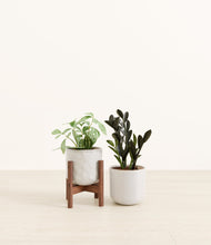 Load image into Gallery viewer, Frozen Horizon stand:one_stand
