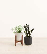 Load image into Gallery viewer, Polar Eclipse stand:one_stand
