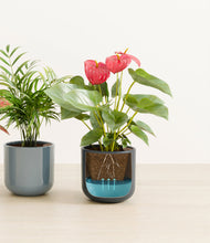 Load image into Gallery viewer, Pebble Shore
