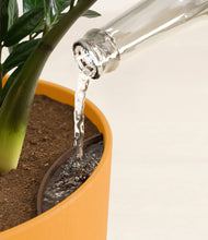 Load image into Gallery viewer, Sunset Orange stand:all
